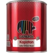 FİLLİ BOYA KAPATAN LEKE ÖRTÜCÜ 2,5 LT